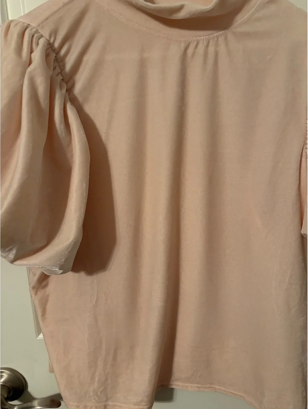 Free People XL Pink Velvet Puff Sleeve Top